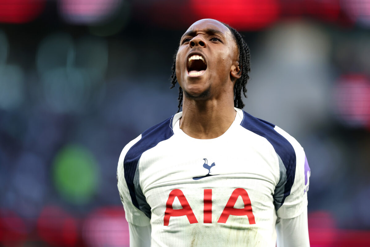 Tottenham Hotspur v Brighton &amp; Hove Albion - Premier League
