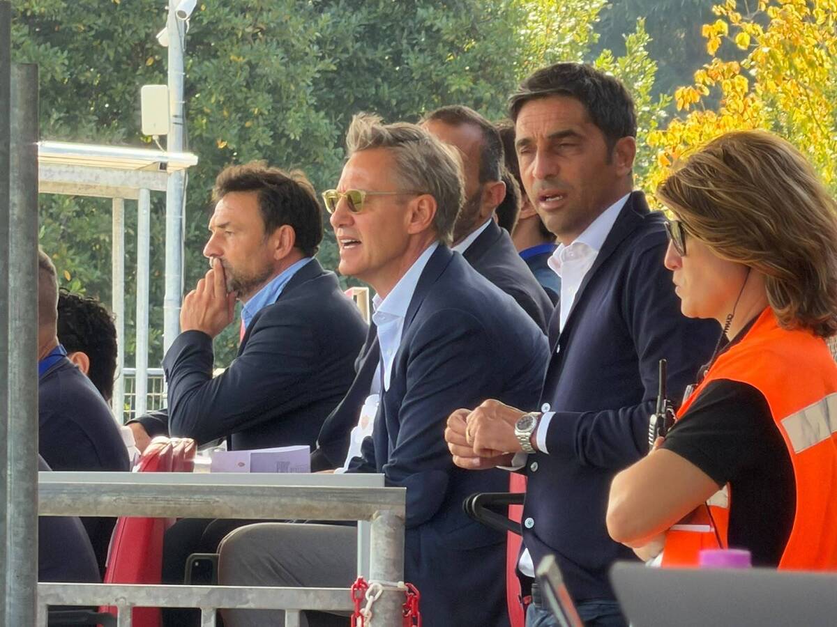 d'amico galantic