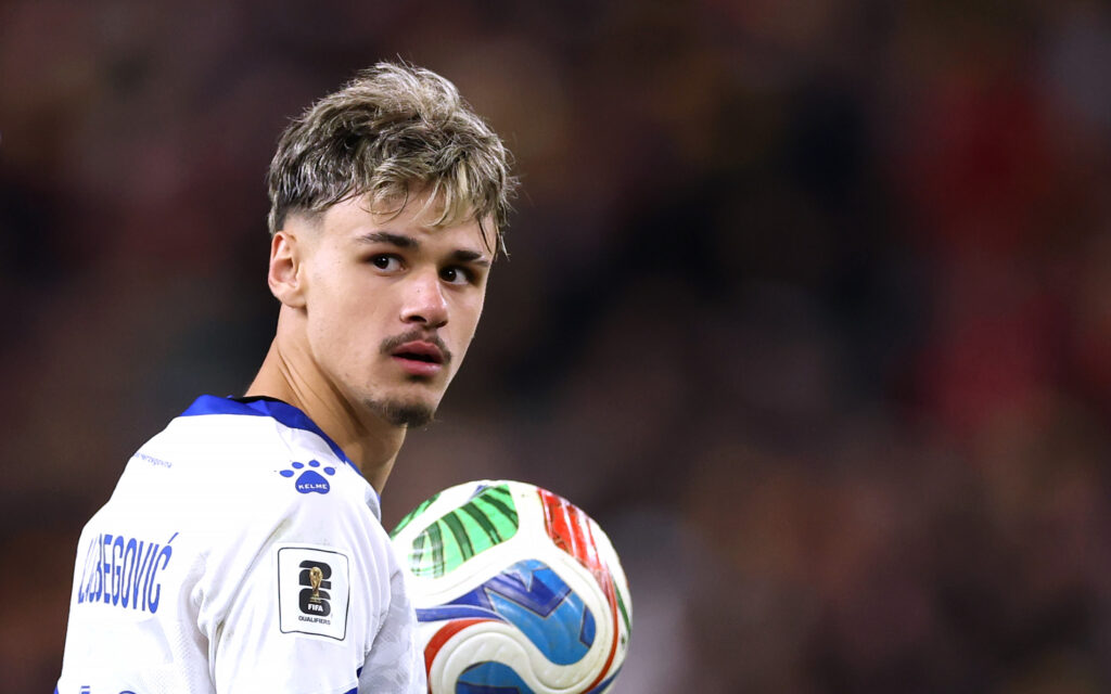 alajbegovic Wales v Bosnia and Herzegovina  -  FIFA World Cup 2026 European Qualifiers KO Play-off